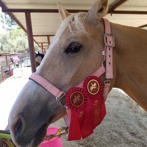 Meet your Posher, Reagan